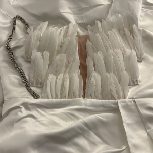 Sexy Elegant Feather Dress - Picture 10 of 10